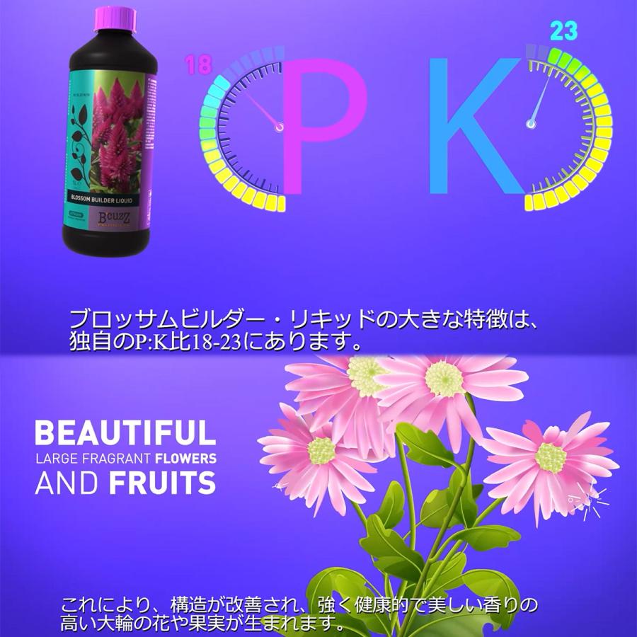 B'CUZZ BLOSSOM BUILDER LIQUID (ビーカズ ブロッサム ビルダー リキッド) 5L ATAMI 開花促進剤 植物 開花促進剤 野菜 開花促進剤 果樹 開花促進 収穫量向上_4