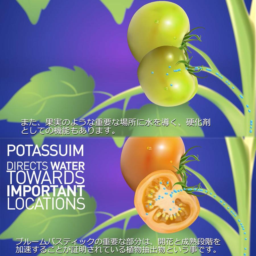 肥料 BLOOM BASTIC (ブルーム バスティック) 325ml ATAMI 肥料 野菜 肥料 バラ 肥料 業務用 肥料 野菜肥料 バラ肥料 バラの肥料 バラ 液肥 バラ 液体肥料_11