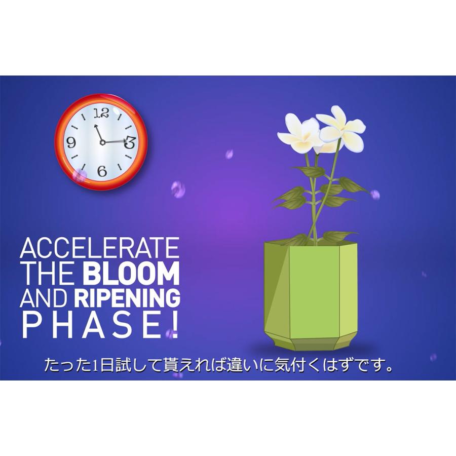 肥料 BLOOM BASTIC (ブルーム バスティック) 325ml ATAMI 肥料 野菜 肥料 バラ 肥料 業務用 肥料 野菜肥料 バラ肥料 バラの肥料 バラ 液肥 バラ 液体肥料_12