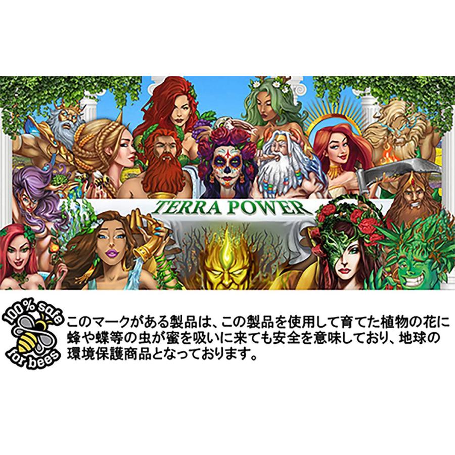 ブランド登録なし - TERRA POWER FIRE YIELDS (ファイアーイールド) 30g 伝染毒原材料 草木 発根推しすすめる剤 草木 発根推しすすめる 菌根菌原材料 菌根菌 トリコデルマ菌 根域立ちなおる 草木 根域立ちなおる
