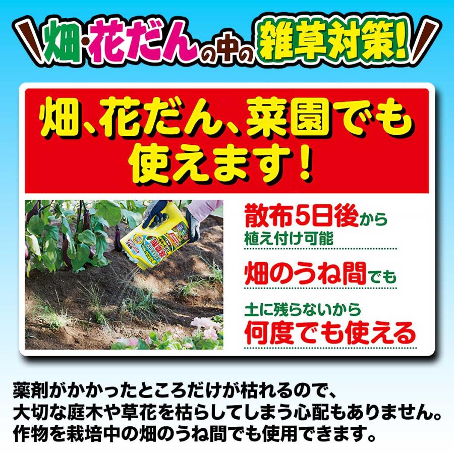 除草剤 カダン 除草王シリーズ ビネガーキラー 2L×8本 フマキラー 除草剤 除草王 農耕地 除草剤 畑 除草剤 花壇 除草剤 菜園 除草剤 簡単 雑草対策 雑草予防_2