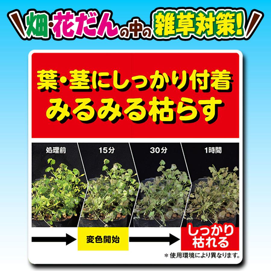 除草剤 カダン 除草王シリーズ ビネガーキラー 2L×8本 フマキラー 除草剤 除草王 農耕地 除草剤 畑 除草剤 花壇 除草剤 菜園 除草剤 簡単 雑草対策 雑草予防_3