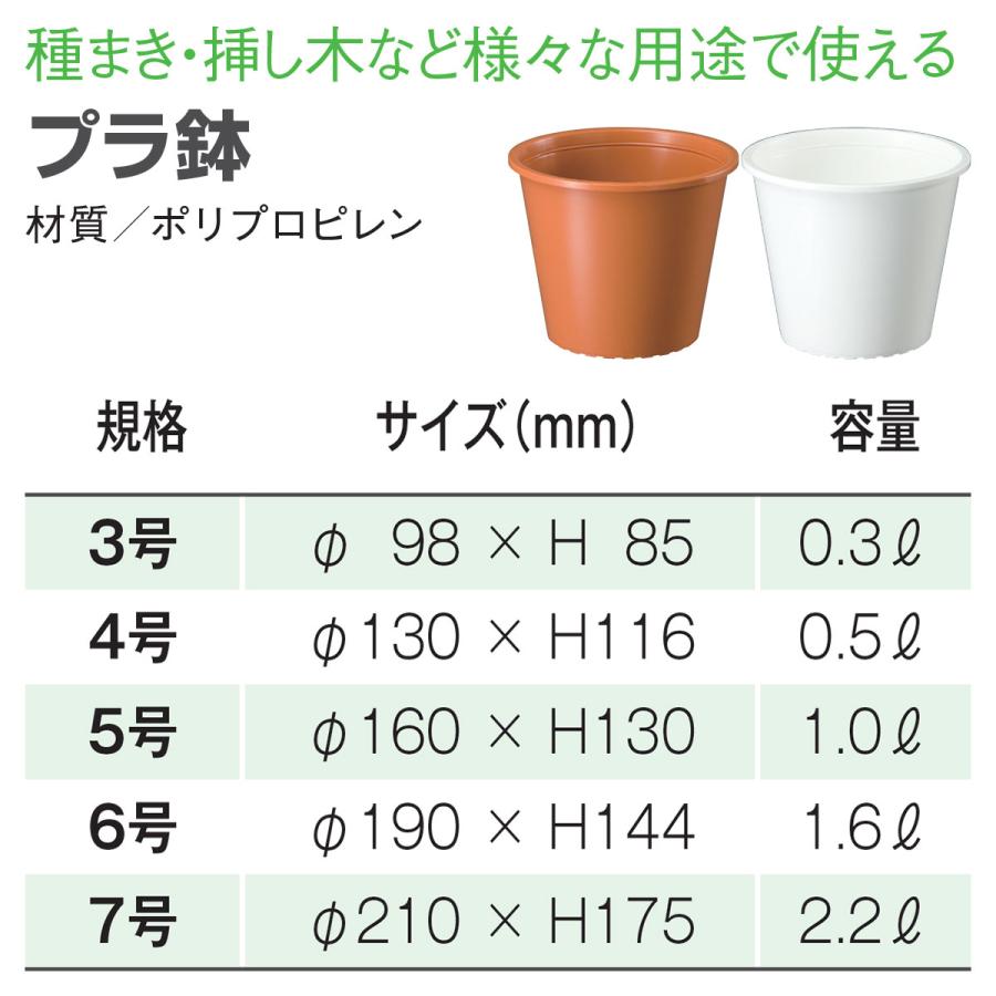 プラ鉢 6号 ホワイト 大和プラスチック φ190×H144 土容量1.6L 鉢