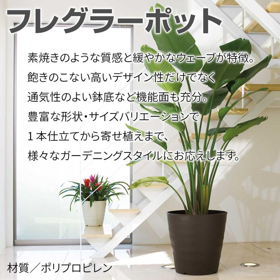 まとめ買い 60個入 フレグラーポット 18型 象牙色 大和可塑性物質 φ180×H180 土収容能力3.0L 鉢 貨物輸送無料