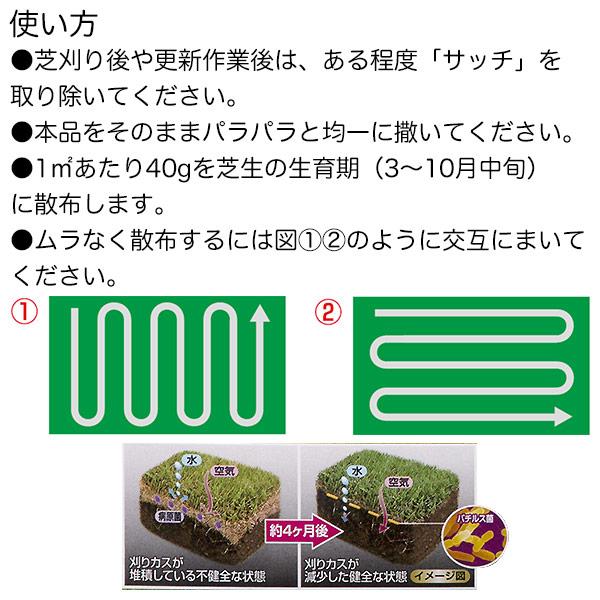 肥料 シバキーププロ 芝生のサッチ分解剤 2.8kg×6箱 レインボー 肥料 シバキーププロ 芝生のサッチ分解剤 2.8kg×6箱 レインボー