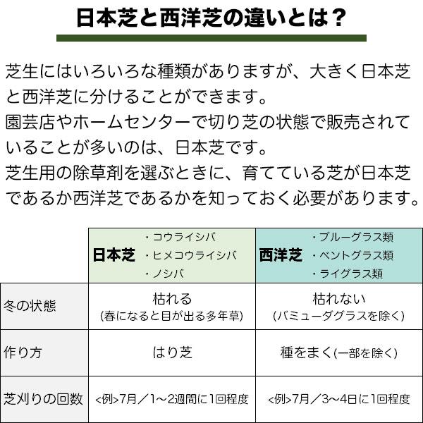 シバキーププロ 芝生のサッチ分解剤 2.8kg レインボー薬品 機能性有機肥料｜wise-life｜07