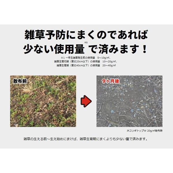 レインボー薬品 除草剤 ネコソギ トップw粒剤 800g A ワイズライフyahoo 店 通販 Yahoo ショッピング