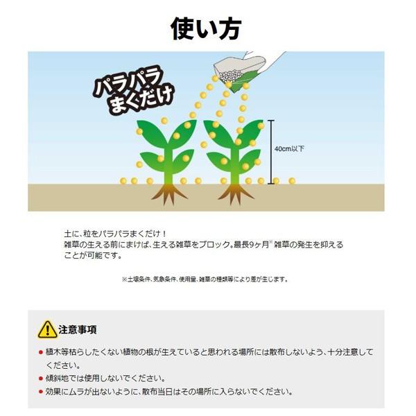 美しい まとめ買い 6箱入 ネコソギトップw粒剤 3kg レインボー薬品 ササ ススキにも 除草剤 全日本送料無料 Turningheadskennel Com