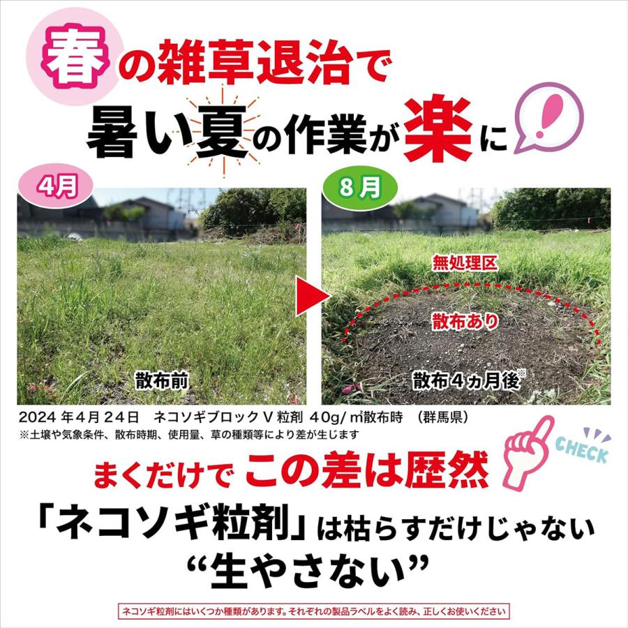 ネコソギ 除草剤 ネコソギブロックV 粒剤 800g レインボー薬品 エースV
