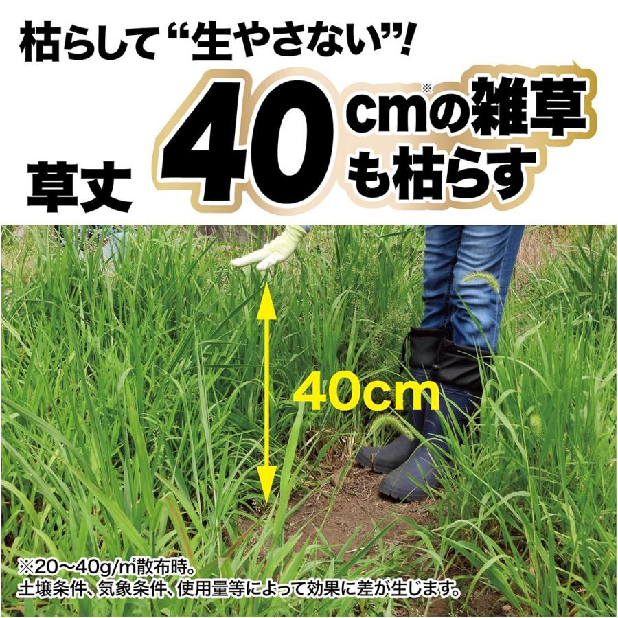 ネコソギ 除草剤 ネコソギブロックV 粒剤 800g レインボー薬品 エースV