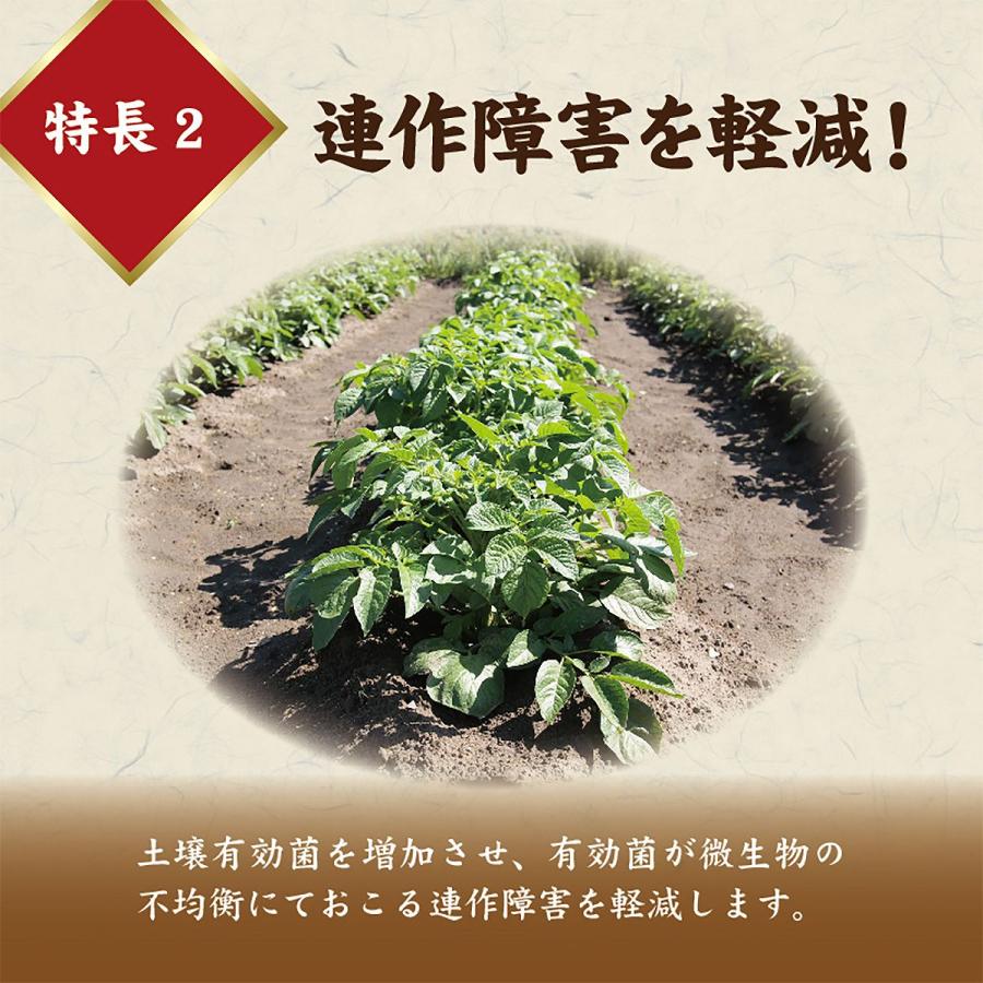 花と野菜のぼかし肥料 2kg 東商 安心国産 こうじ菌醗酵 肥料｜wise-life｜05