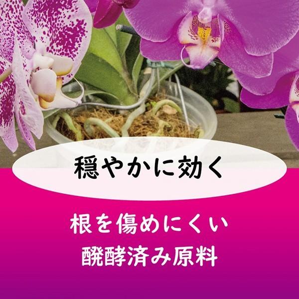 洋ランの肥料 500g 東商 配合肥料｜wise-life｜05