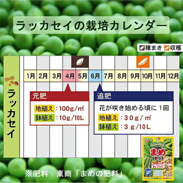 まめ肥料 1kg 東商 アミノ酸効果 つるぼけ軽減 肥料 ワイズライフyahoo 店 通販 Yahoo ショッピング