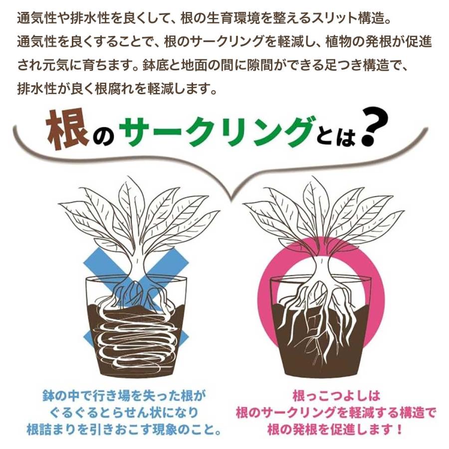 アップルウェアー 根っこつよし 8号 ブラック φ240×200 スリット