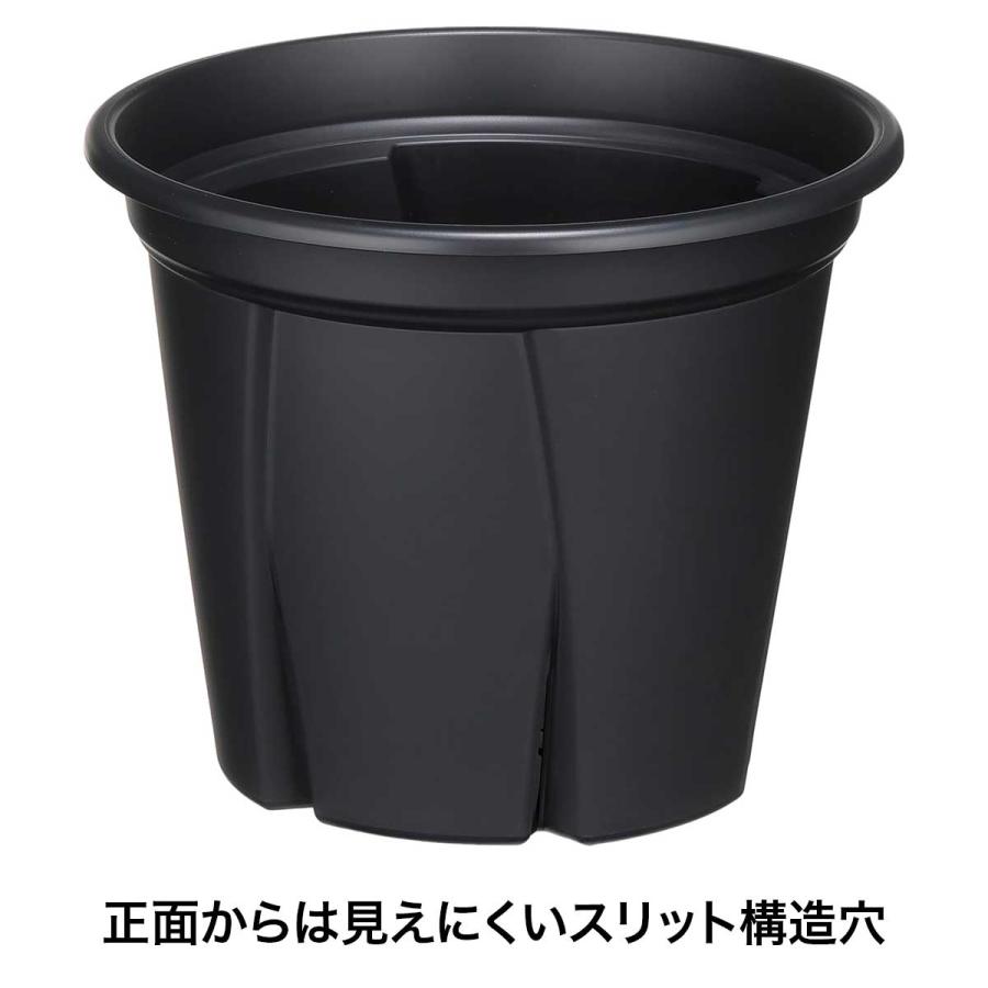 アップルウェアー 根っこつよし 9号 ブラック φ270×226 スリット