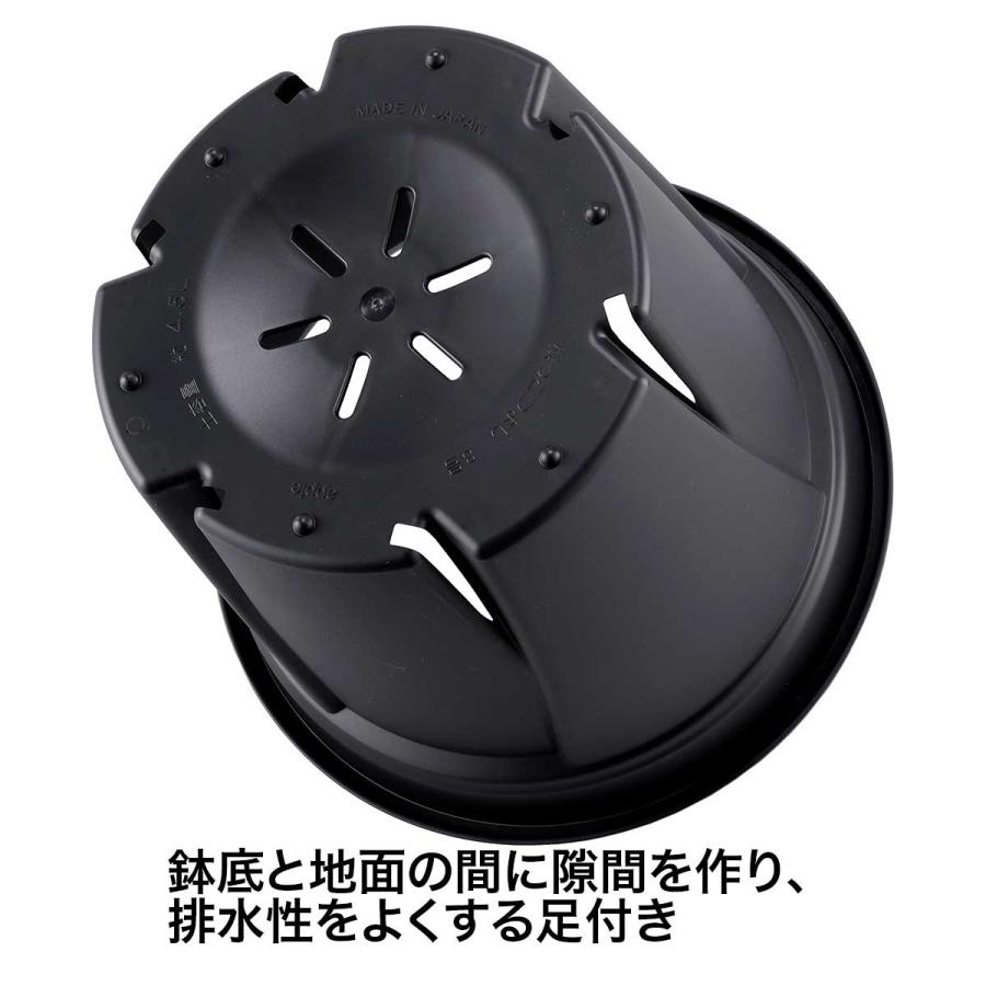 アップルウェアー 根っこつよし 9号 ブラック φ270×226 スリット