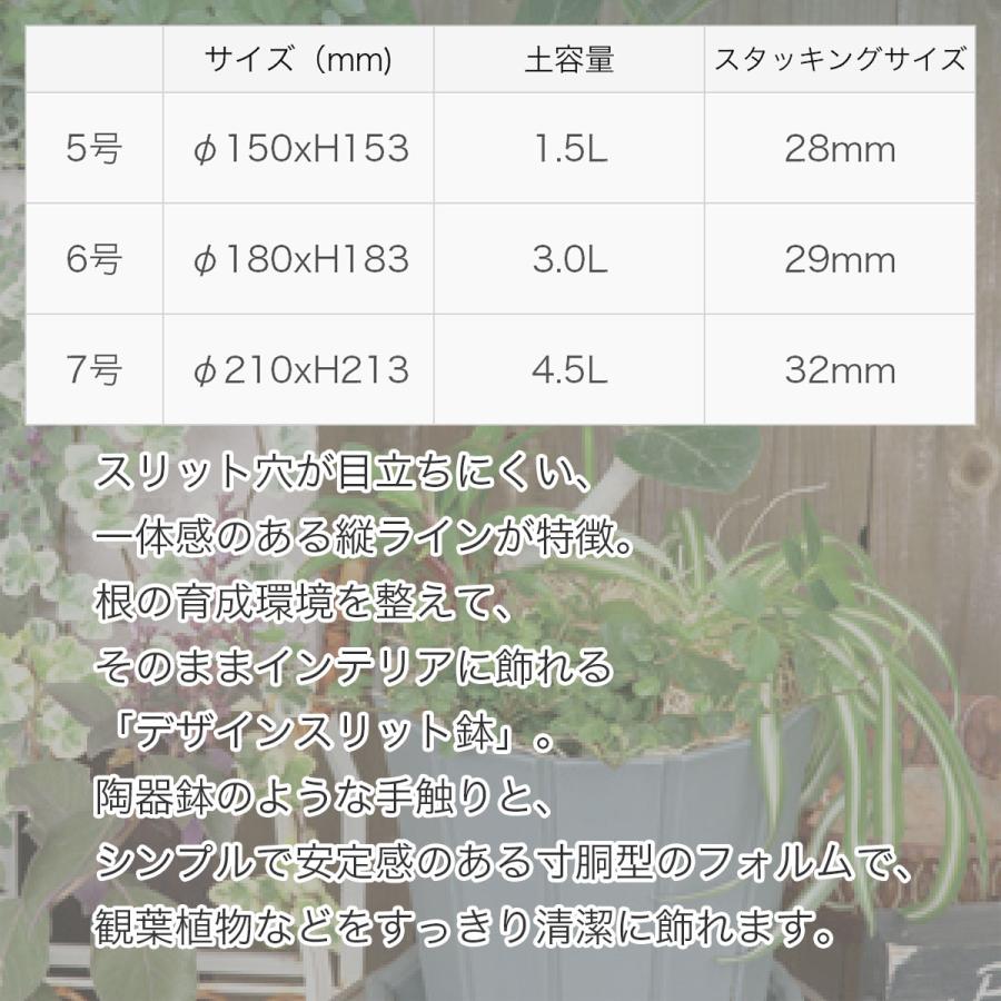 オアシス　Lサイズ アップルウェアー スリットオアシス ホワイト 5号 Φ150xH153 容量1.5L