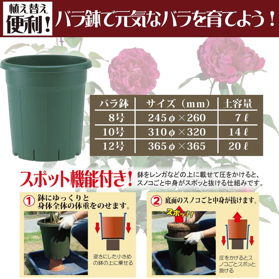 アップルウェアー 植木鉢 バラ鉢 10号×20個 グリーン 植木鉢 おしゃれ 植木鉢 10号 植木鉢 鉢 おしゃれ 鉢 10号 鉢 バラ 植木 ...