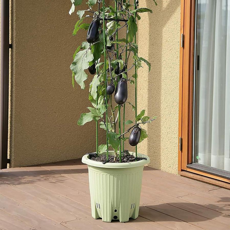 アップルウェアー - 楽々家庭菜園 丸型 サラダ菜緑であること ×12個 蔬菜 プランター 格好のいい 鉢 細長い切口鉢 ガーデニング 格好のいい プランター 蔬菜 家庭菜園プランター