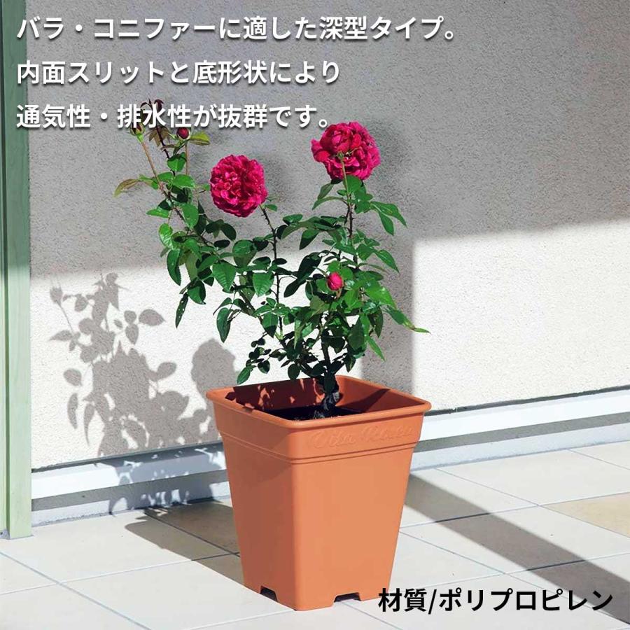 アップルウェアー ロゼアスクエア 330型 グリーン 330×330×360 土容量
