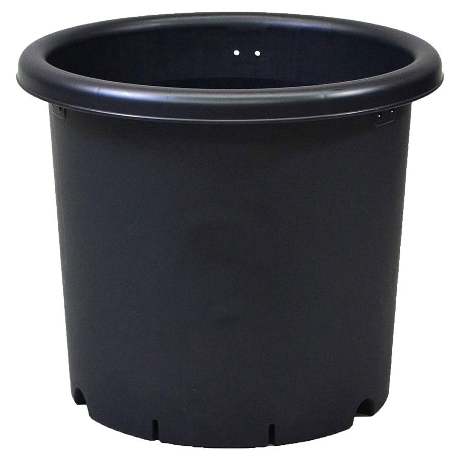 アップルウェアー 菊鉢 9号 302Φ×256 土容量 10L 鉢 : ワイズライフ