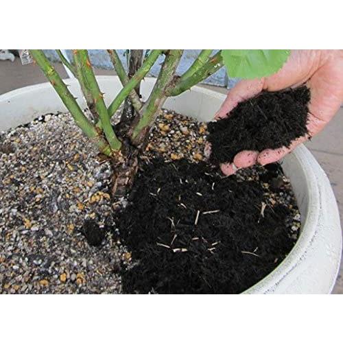 自然応用科学 まくだけで薔薇を守るマルチング材 5l A ワイズライフyahoo 店 通販 Yahoo ショッピング