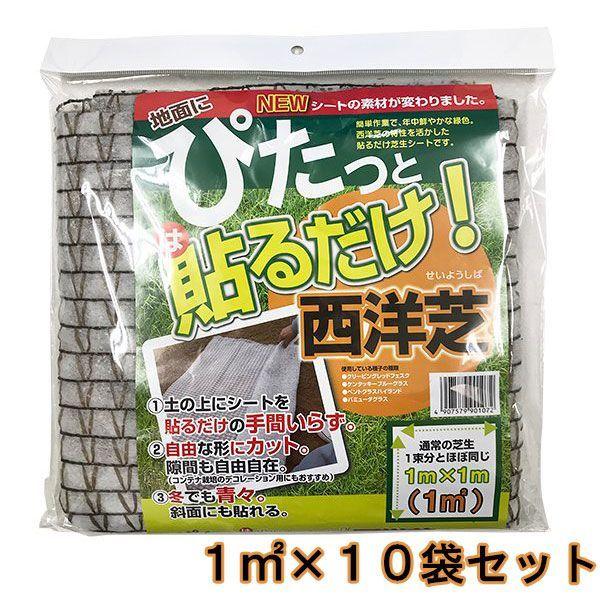 ぴたっと貼るだけ西洋芝 10袋 自然応用科学 西洋芝 種 西洋芝 種子 芝 種 芝生 種 芝の種 芝生の種 西洋芝の種 洋芝の種 芝生シート 簡単作業 芝種 芝種子