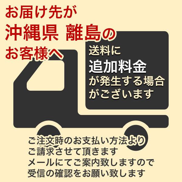 まとめ買い 10袋入 ぴたっと貼るだけ西洋芝 1平方メートル 自然応用科学 貼るだけの手間いらず 自由な形にカット 冬でも青々 芝種 送料無料｜wise-life｜08