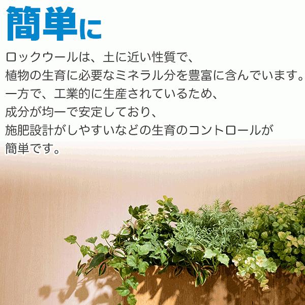 大和プラスチック ロックウールブロック 育苗マット 3cm 3cm 3cm 60ピース ワイズライフyahoo 店 通販 Yahoo ショッピング