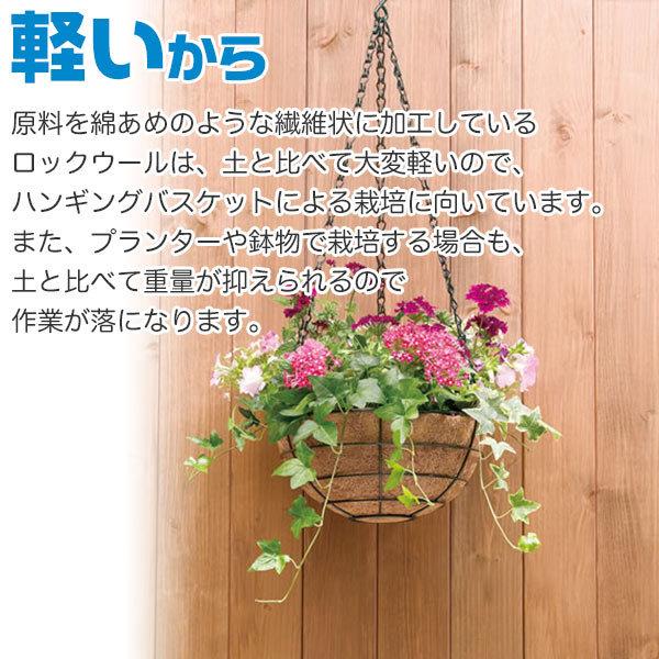 大和プラスチック ロックウールブロック 育苗マット 3cm 3cm 3cm 60ピース ワイズライフyahoo 店 通販 Yahoo ショッピング