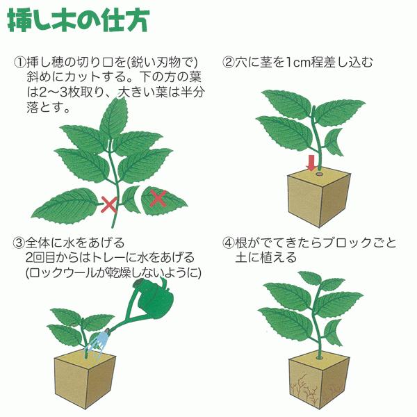 ロックウール栽培マット 84P 大和プラスチック 挿し木・種まきに最適 育苗用トレー付 清潔無菌 通気性抜群 栽培マット｜wise-life｜02