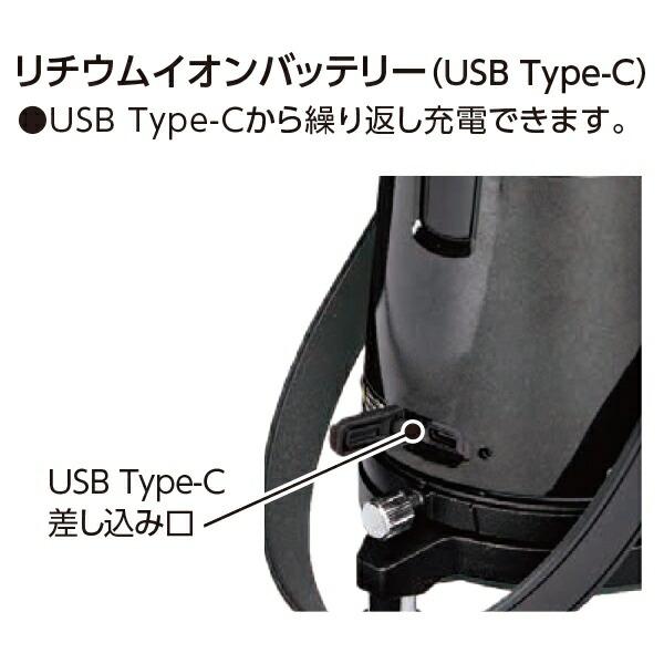 シンワ（工具） レーザー墨出し器 レーザーロボ LEXIA 31