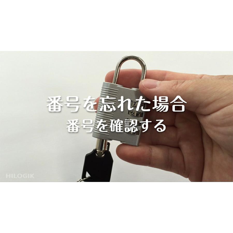 ハイロジック HILOGIK ハイロジック G-189 ファスナーロック 鍵付 ブロンズ 2本キー 1個入 00071189-001 ネット本店