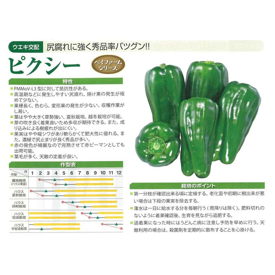 横浜植木 大容量 営利種子 ピーマン ピクシーピーマン(UN-317) 1000粒