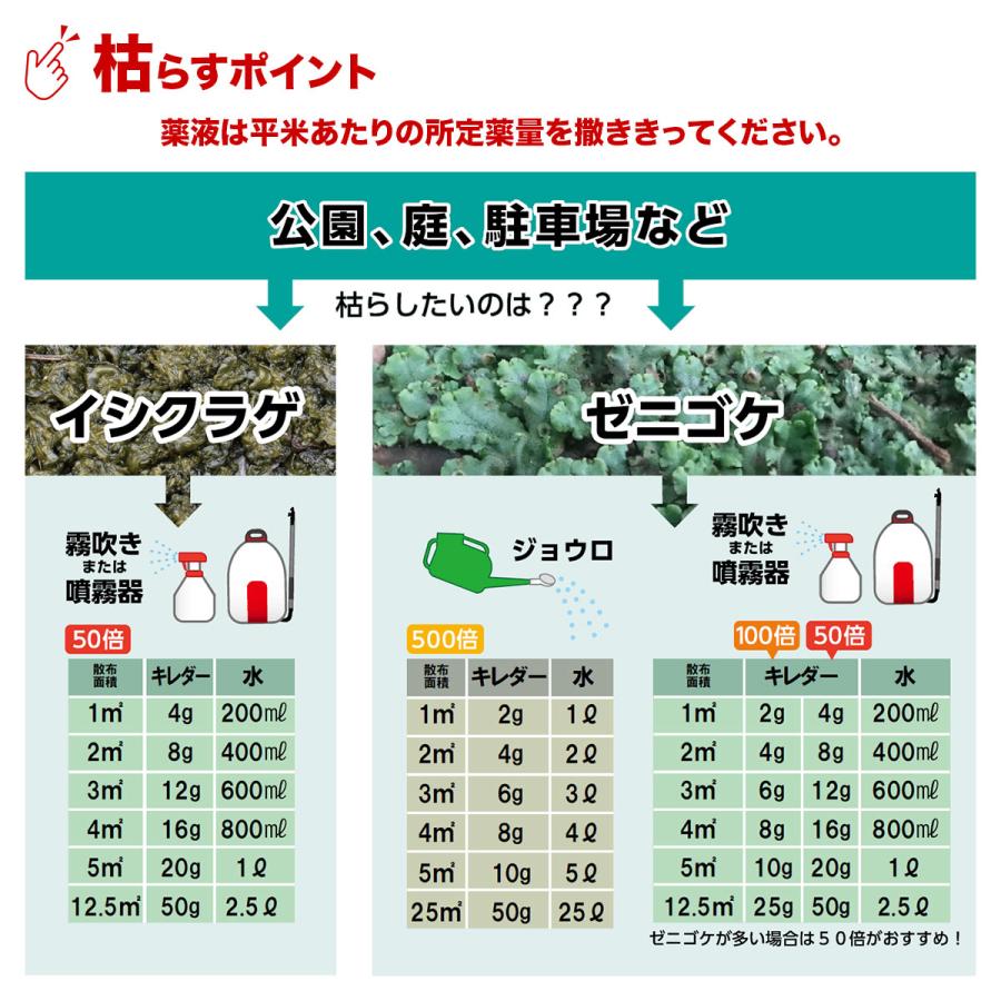 除草剤 キレダー ACN水和剤 50g入×2袋 アグロカネショウ コケ用