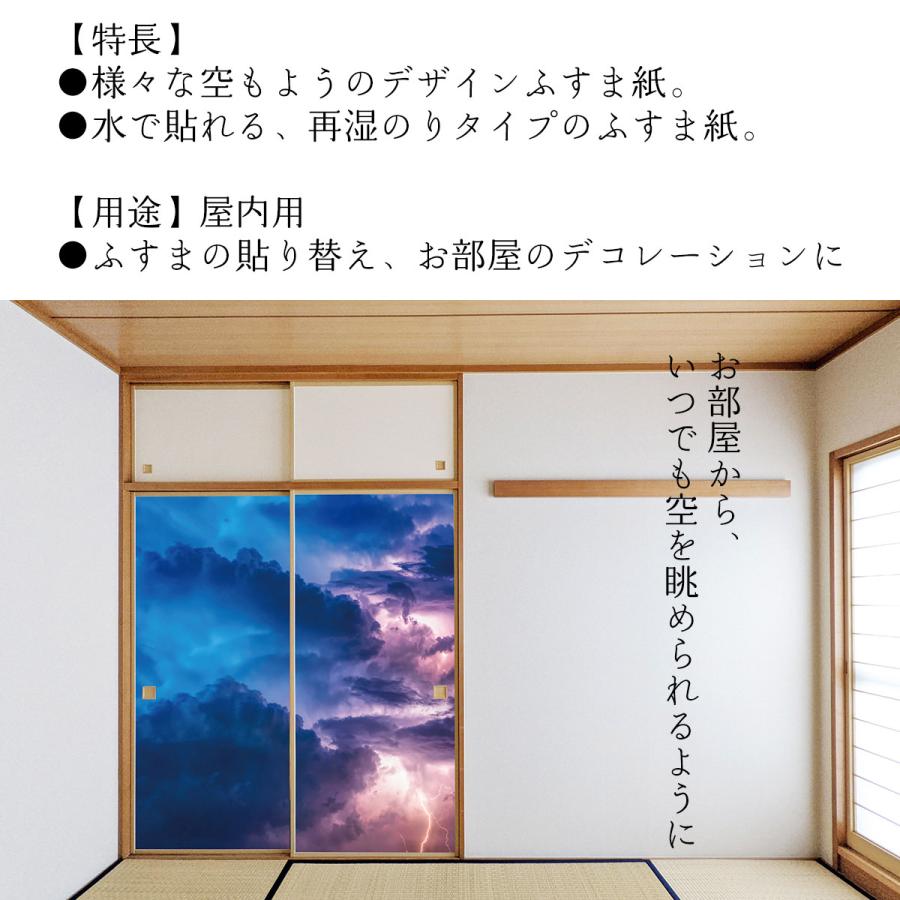 アサヒペン ふすま紙 空もよう襖紙 sky-08F Thunder storm 91cm×182cm