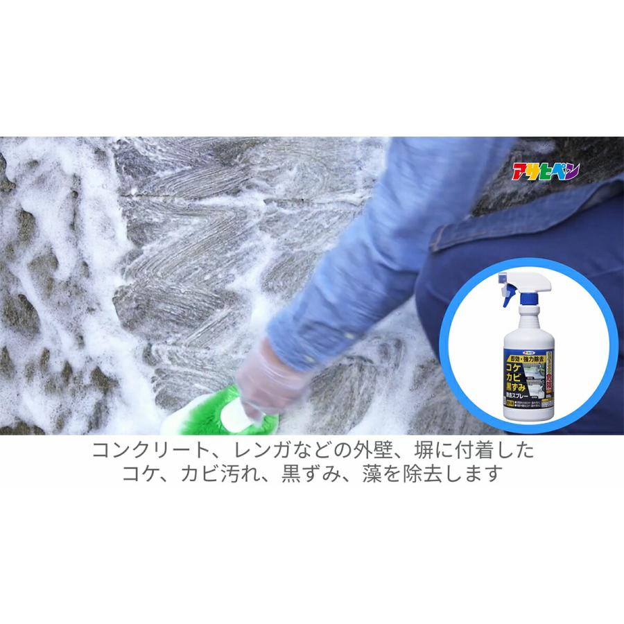 カビ取り 屋外用 コケ・カビ・黒ずみ除去スプレー 500g ×15本 アサヒペン カビ取り剤 木材 カビ取りスプレー コケ取り コケカビ取りスプレー コケ 汚れ 外壁_4