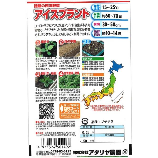 アタリヤ農園 野菜種 アイスプラント Am ワイズライフyahoo 店 通販 Yahoo ショッピング