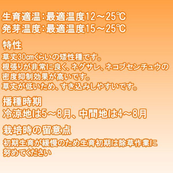 まとめ買い 10袋入 マリーゴールド セントール 100g カネコ種苗 花種 送料無料 代金引換不可 