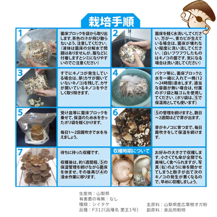 菌床キノコ 栽培セット でるまっしゅ なめこ しいたけ 品種名 菌王1号