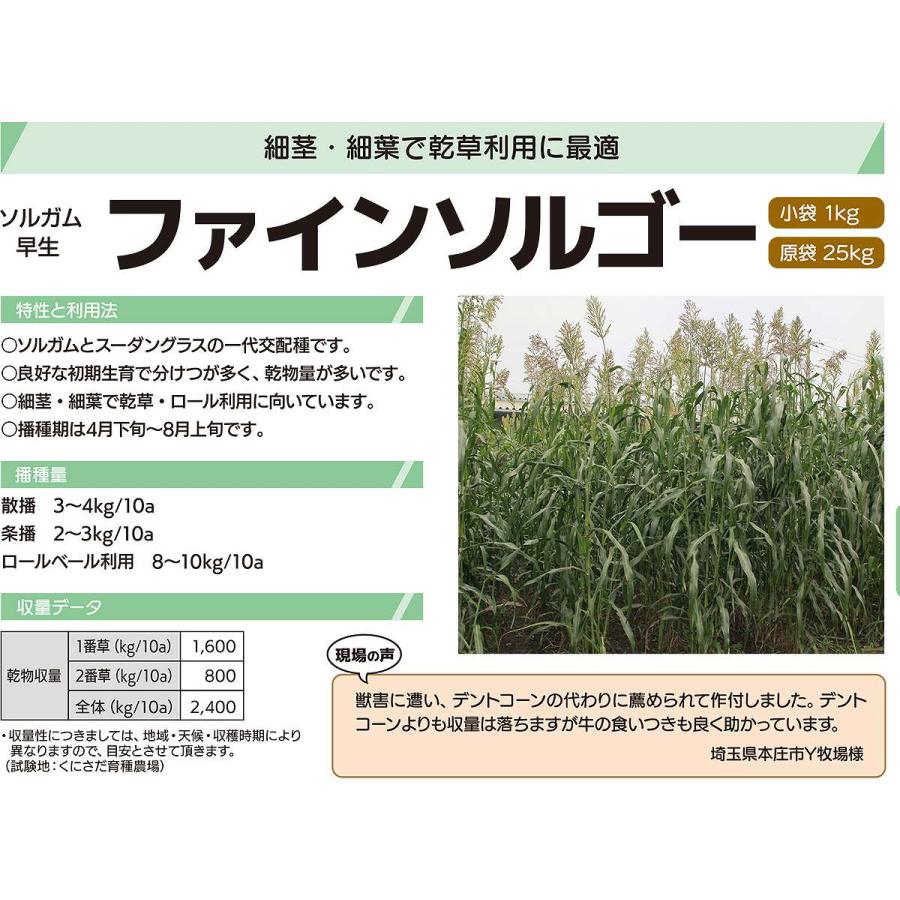 ソルガム ファインソルゴー 20kg (1kg×20袋) カネコ種苗 緑肥 種 緑肥 種子 ソルゴー 種 ソルゴー 種子 緑肥 業務用 種子 緑肥 業務用 種 ソルゴーの種_2