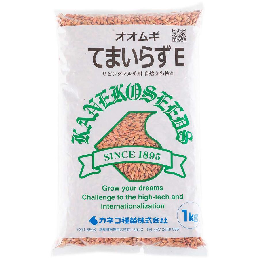 オオムギ てまいらずE 1kg カネコ種苗 リビングマルチ 雑草抑制 大麦