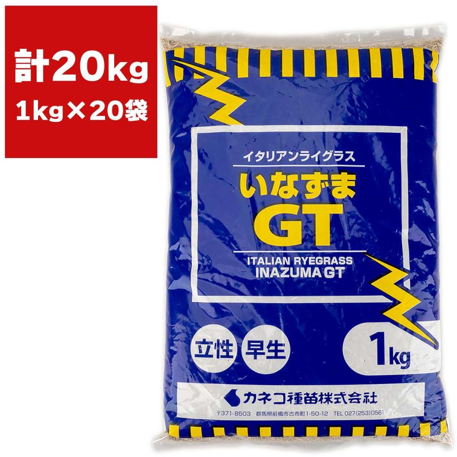 イタリアンライグラス いなずまGT 20kg(1kg×20袋) カネコ種苗 牧草