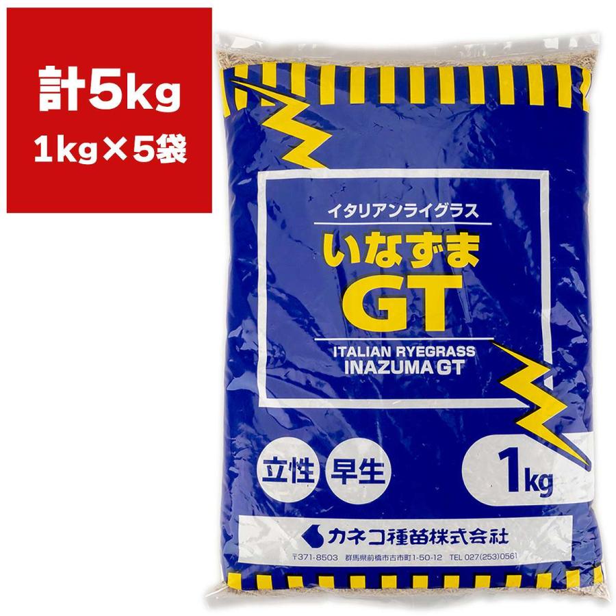 イタリアンライグラス いなずまGT 5kg(1kg×5袋) カネコ種苗 牧草 種子