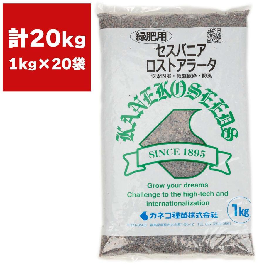 セスバニア セスバニアロストアラータ 20kg (1kg×20袋) カネコ種苗