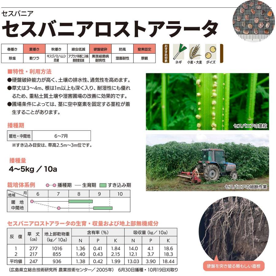 セスバニア セスバニアロストアラータ 20kg (1kg×20袋) カネコ種苗