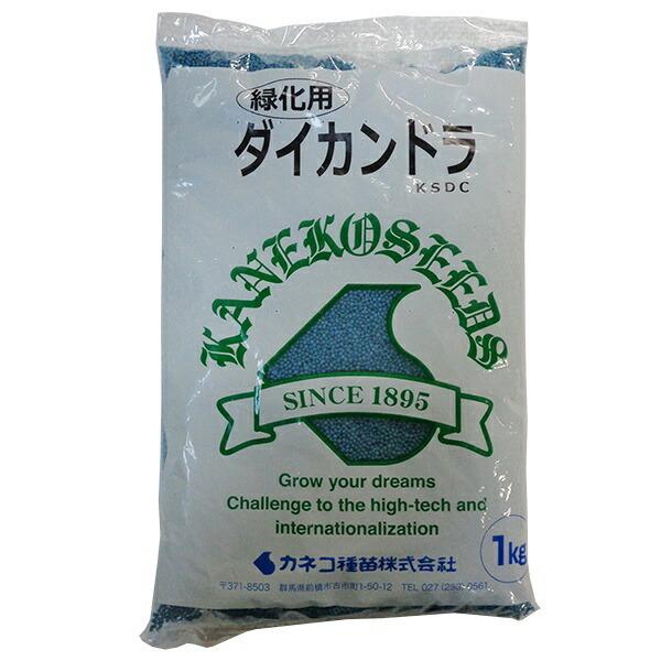 グランドカバー ダイカンドラ 1kg カネコ種苗 景観用種子 ダイカンドラ 種 ディコンドラ 種 ダイコンドラ 種子（Yahoo!・ワイズライフYahoo!店）