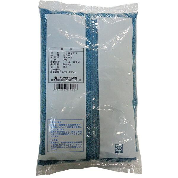 グランドカバー ダイカンドラ 1kg カネコ種苗 景観用種子 種