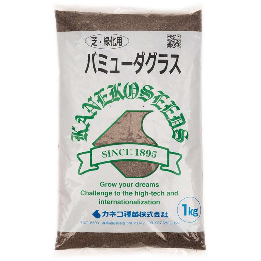 バミューダグラス 1kg カネコ種苗 種 芝 芝生 西洋芝 種子 芝の種 芝生