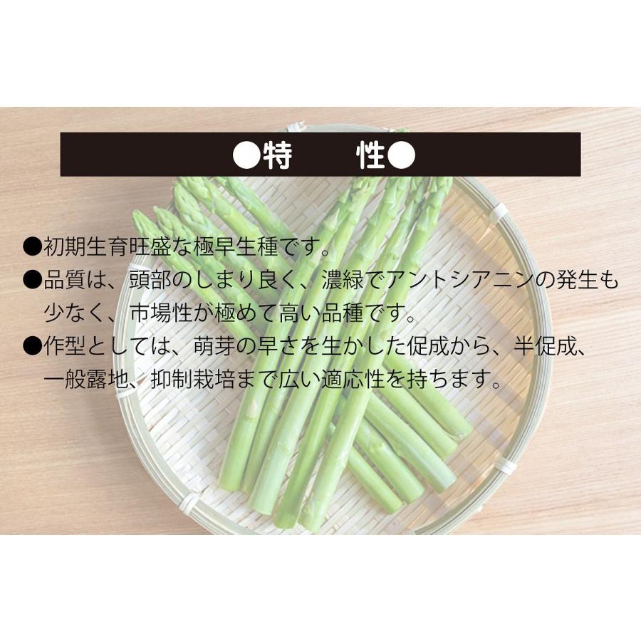 大容量 営利種 アスパラガス バイトル 1dl カネコ種苗 種 アスパラガス 種 アスパラ 種 野菜の種 野菜種 アスパラ 種子 アスパラガス 種子 アスパラの種_1